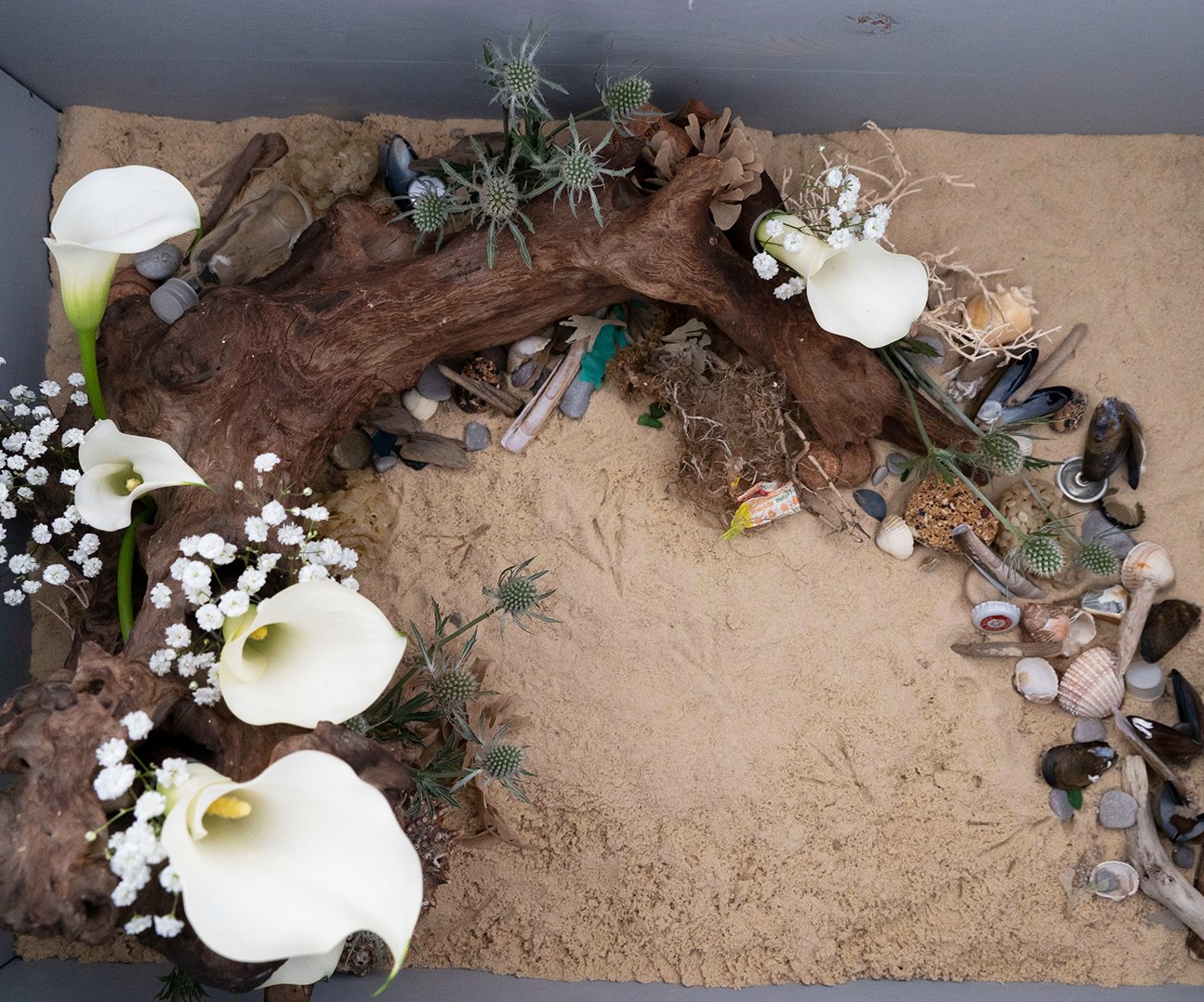 Competitions Landscape (30)_flowers