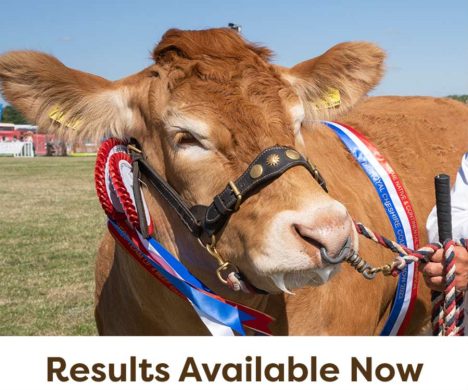 Cattle-All-Results