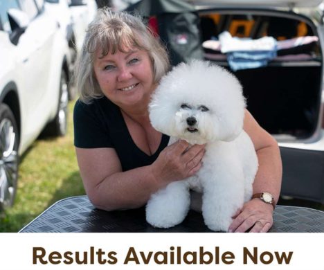 Dogs-All-Results