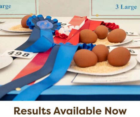 Eggs-All-Results