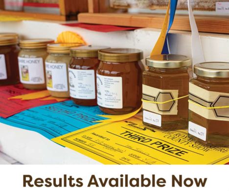 Honey-All-Results