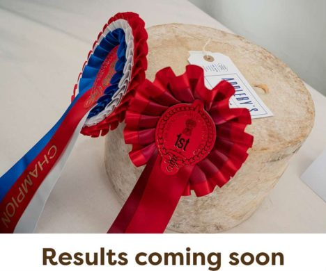 Cheese-Results-Coming-Soon