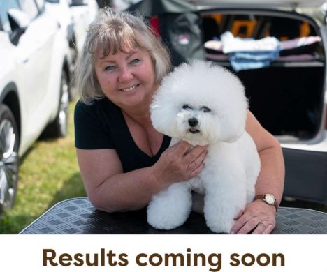 Dogs-Results-Coming-Soon