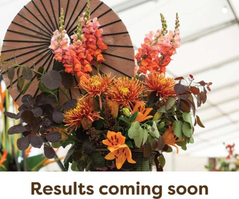 Flowers-Results-Coming-Soon