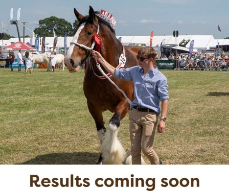 HeavyHorse-Results-Coming-Soon