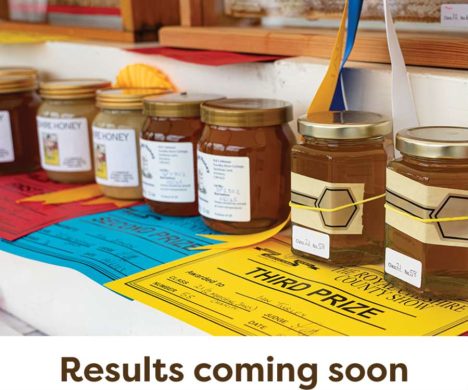 Honey-Results-Coming-Soon