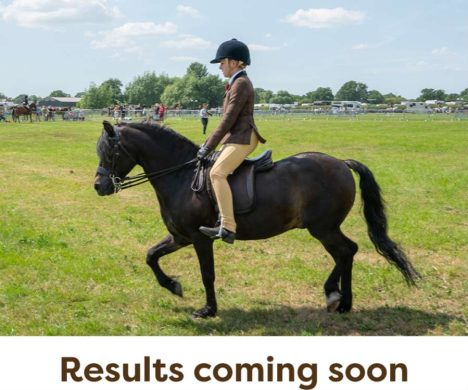 LightHorse-Results-Coming-Soon