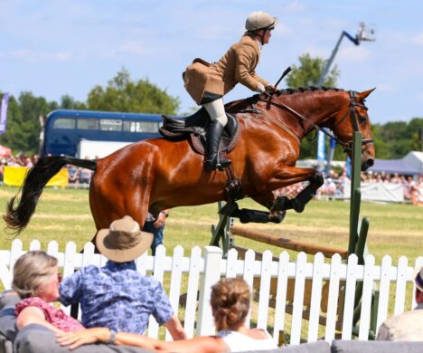 attractions-horse-show