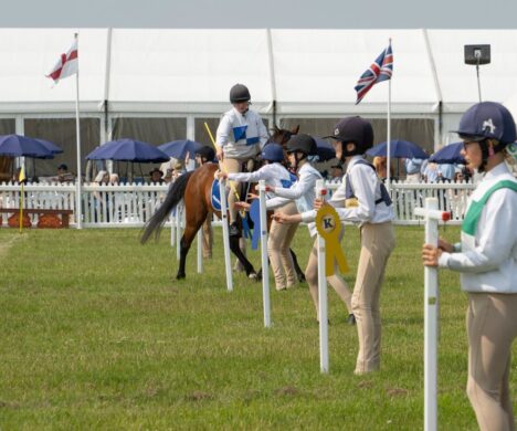 attractions-pony club 3