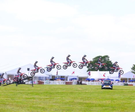 attractions-stunt-team