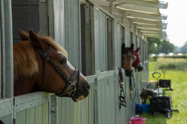 on-site-stables-3