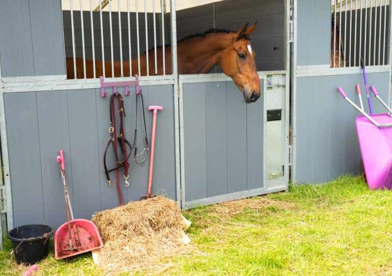 on-site-stables-5
