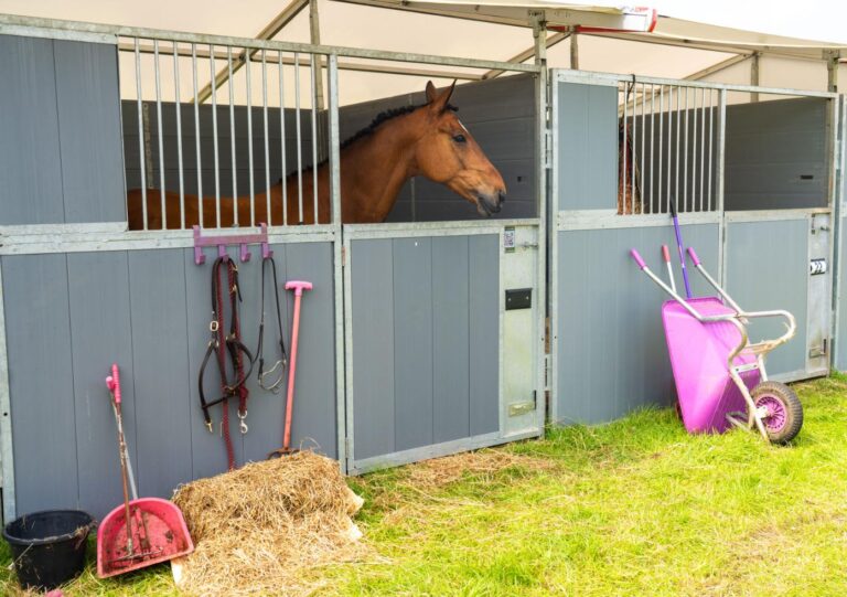 on-site-stables-6