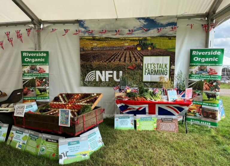 trade-stand-winners-2026-8